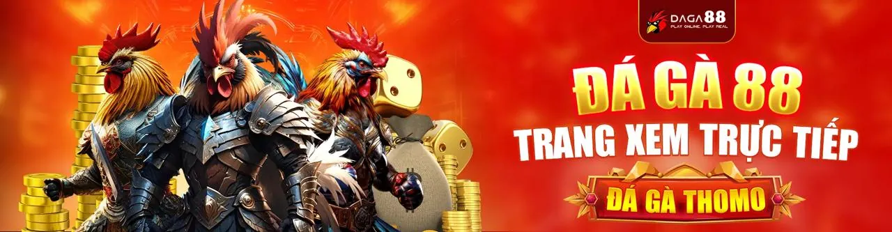 Trải nghiệm đá gà trực tuyến đỉnh cao tại 8s code